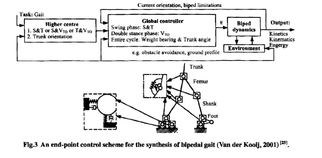 computational models of human walking