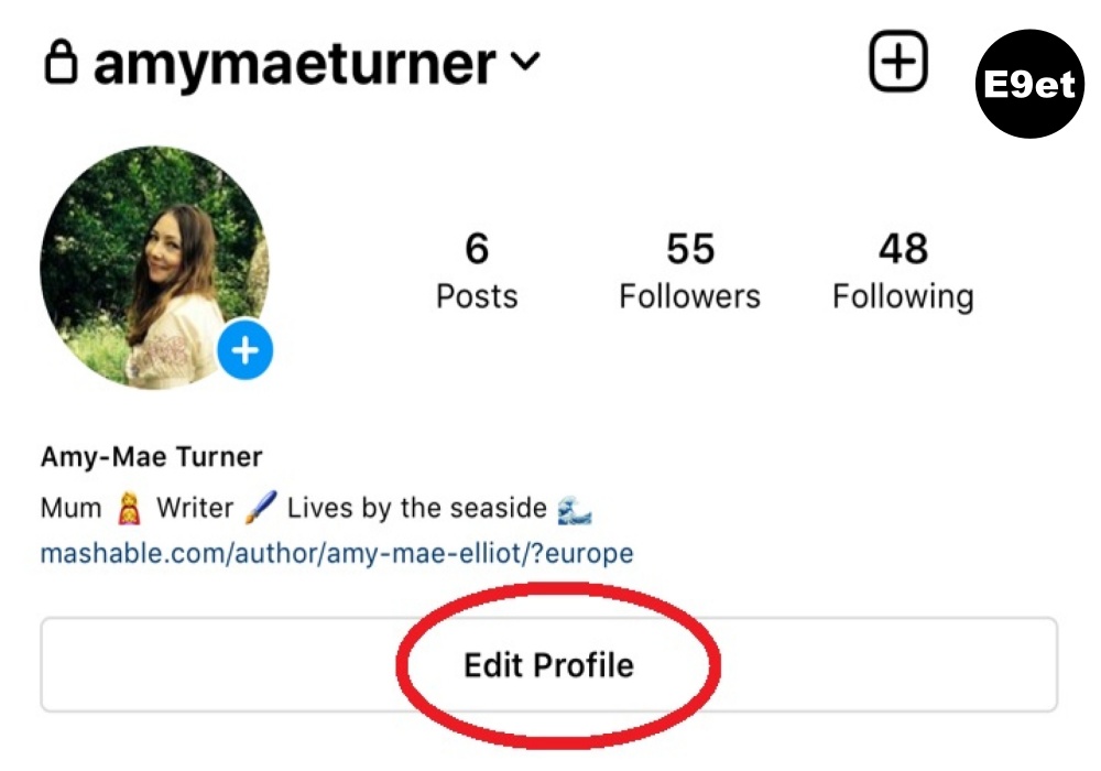 Editing Instagram Profile Link