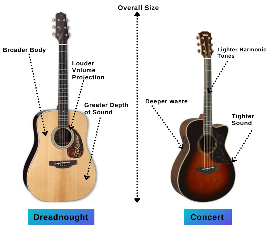 difference between Dreadnought Vs Concert