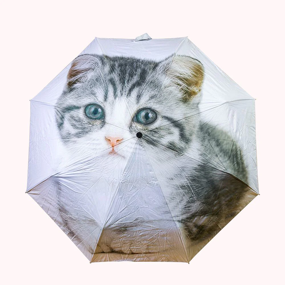 parapluie avec photographie de chat