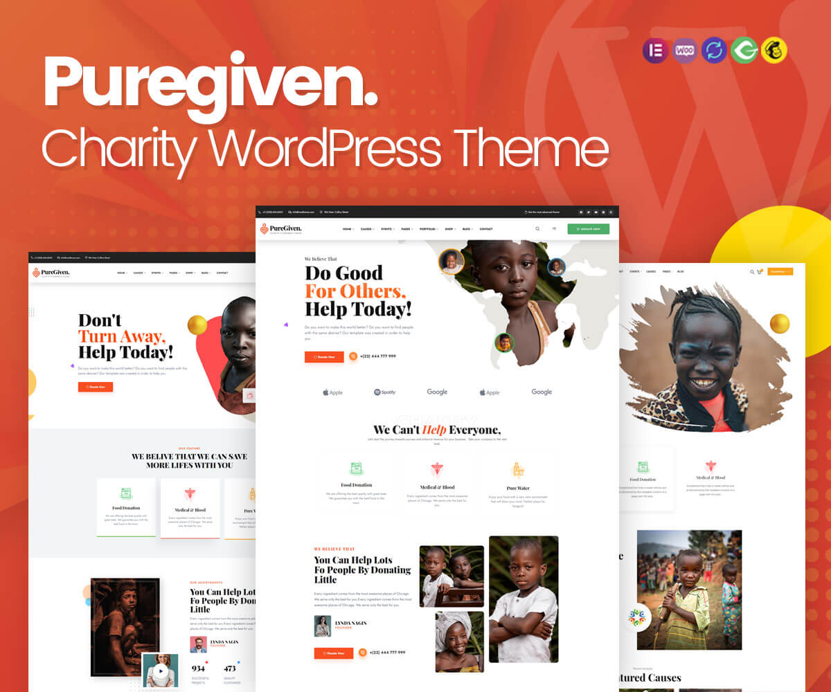 tema de WordPress de caridad puregiven