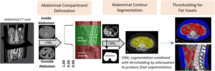 Automated extraction of abdominal fat from computed tomography (CT) scans. MacLean et al., J Am Med Inform Assoc, 2021.