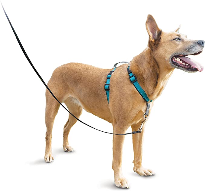 PetSafe 3 in 1 Dog Harness - No Pull Solution for Dogs - Reflective Dog Harness - Front D-Ring Clip Helps Stop Pulling - Comfortable Padded Straps - Top Handle Enhances Control - Runs, Walks, Hikes