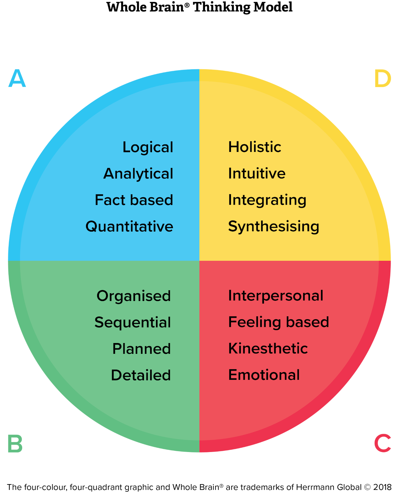 Herrmann HBDI and The Whole Brain Thinking Model