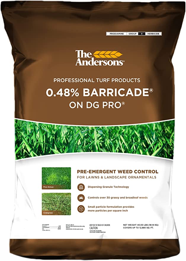 Prepare Your Lawn for Spring - A Helpful 8-Step Guide 3
