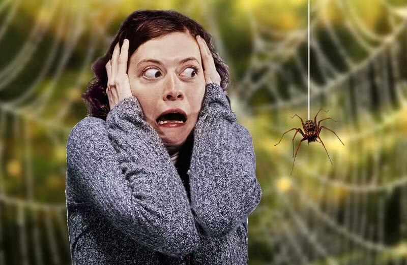 Hội chứng sợ nhện có cách nào khắc phục không?  1