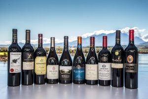 Pinotage South African Wine - top 10 Pinotage Wines
