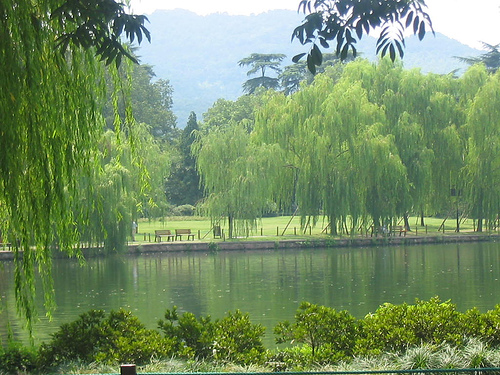 ve may bay di hang chau, tay ho hang chau