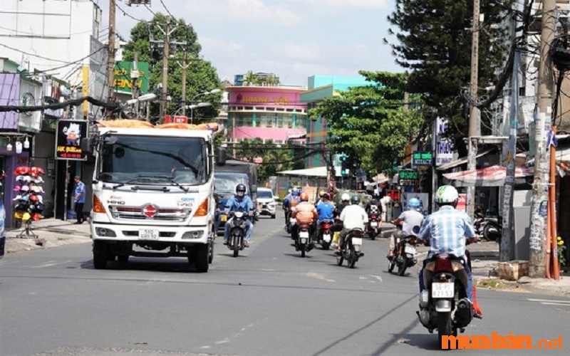  Kiểm tra môi trường sống xung quanh khu vực dự định ở