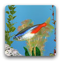 aniPet Freshwater Aquarium LWP apk