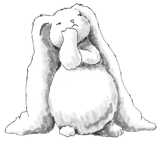 Matters of Fact | bored-bunny.blogspot.com