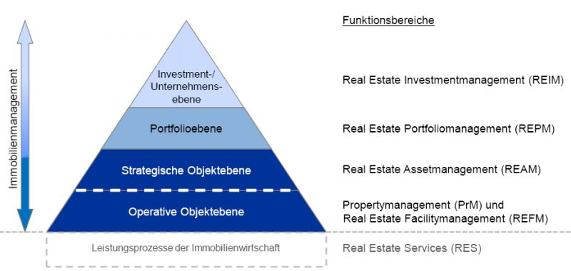 Real Estate Asset Management