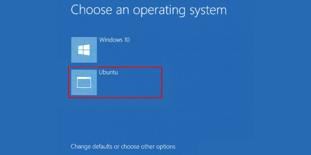 Choose an operating system window to select between Windows 10 or Ubuntu