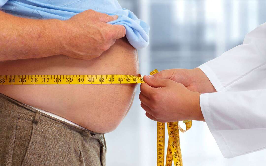 Facteurs de l'obésité