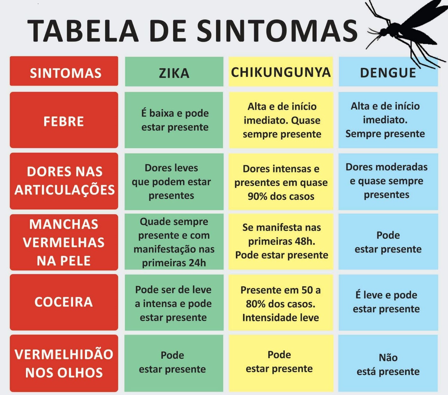 Zika e dengue.jpg