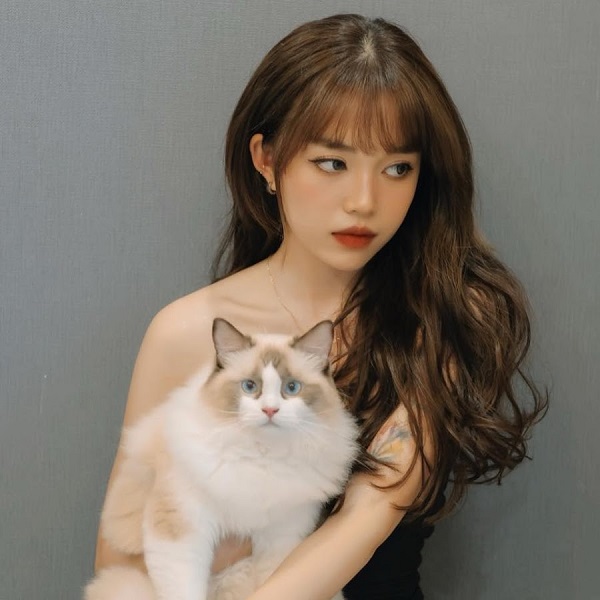 Linh Ngọc Đàm - nữ streamer sở hữu quán cafe mèo