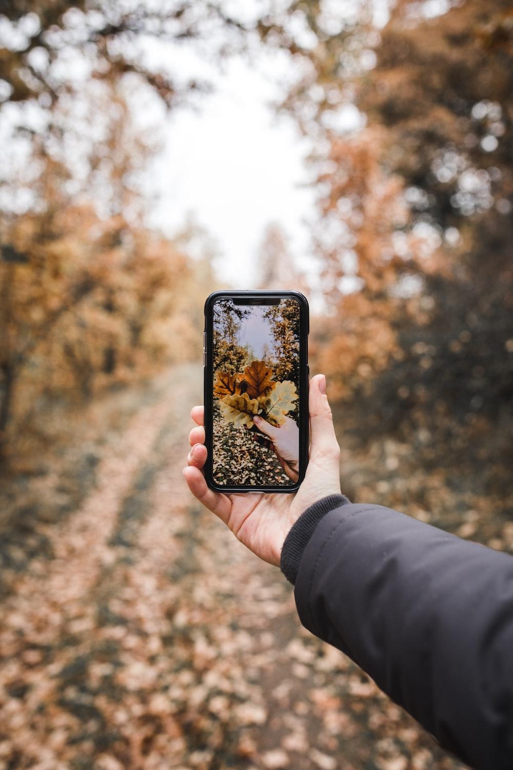 Iphone X Camera Pictures | Download Free Images on Unsplash