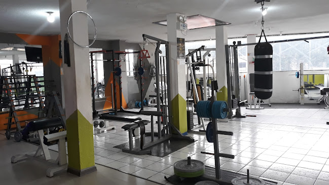 Natural Sinai Gym