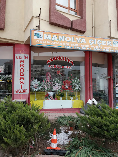 Manolya Çiçek