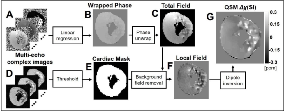 Generation of quantitative susceptibility maps from gradient echo MRI data. Moon, Brianna F., "Iron Imaging In Myocardial Infarction Reperfusion Injury" (2020). Publicly Accessible Penn Dissertations. 3804.