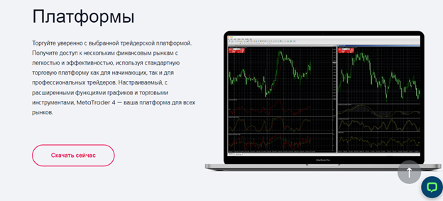 Платформа Fuelibornitex