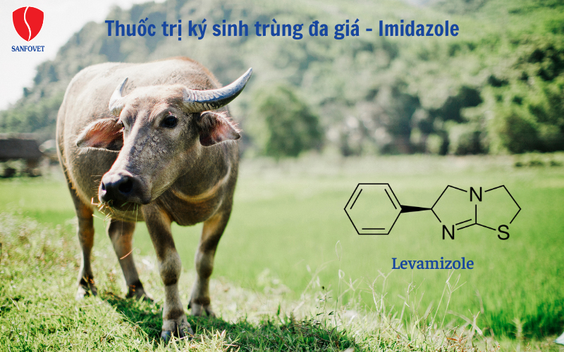 Thuốc trị ký sinh trùng đa giá - Imdazole