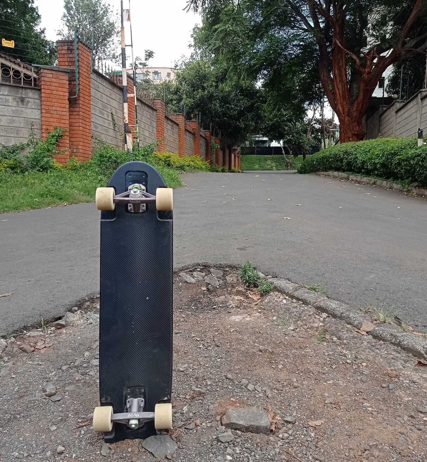 sp8boards swallow resting on a hill