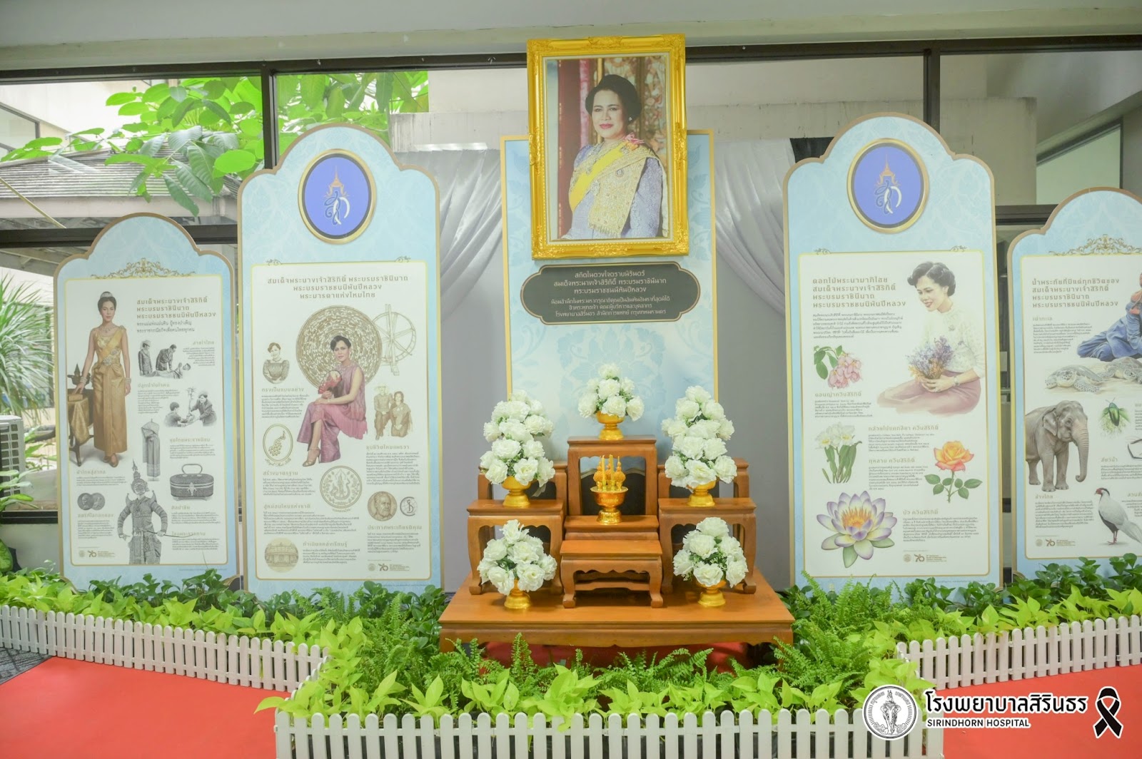 รูปภาพ
