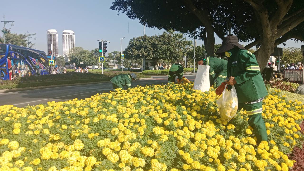 รูปภาพ