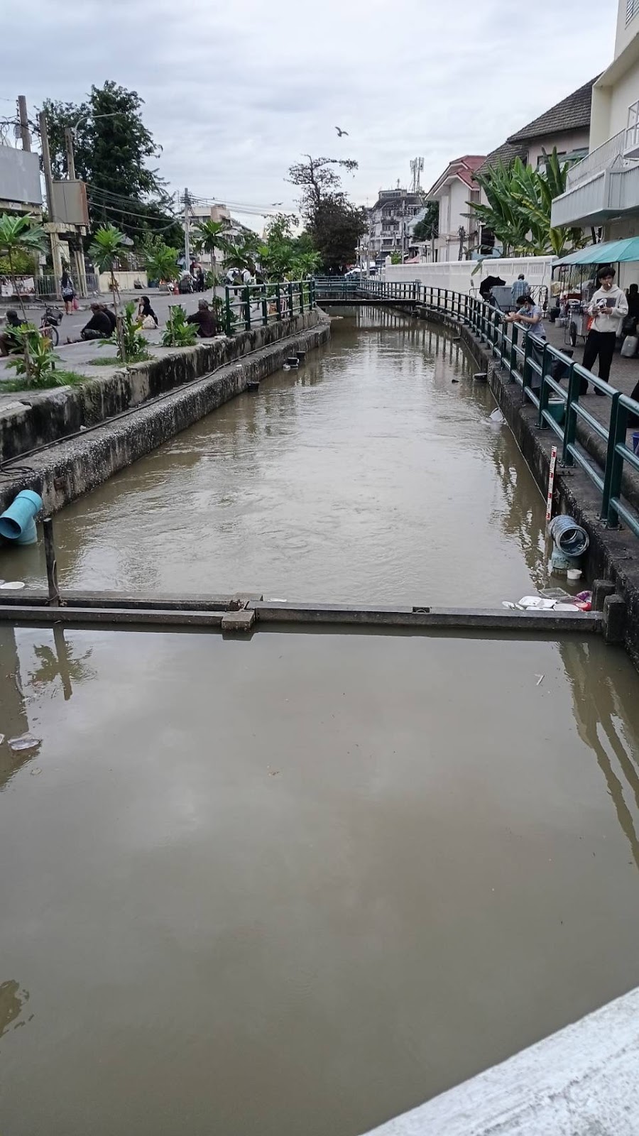 รูปภาพ