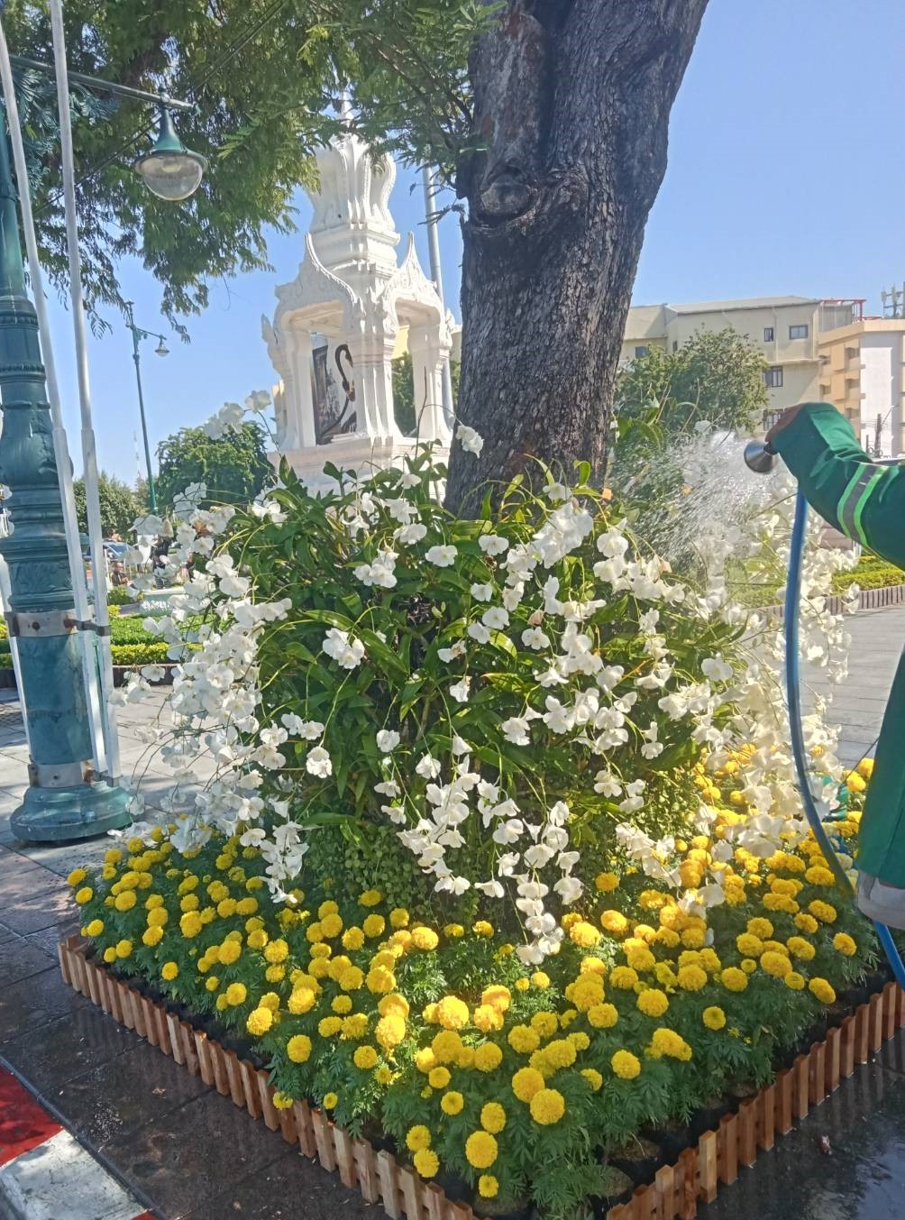 รูปภาพ