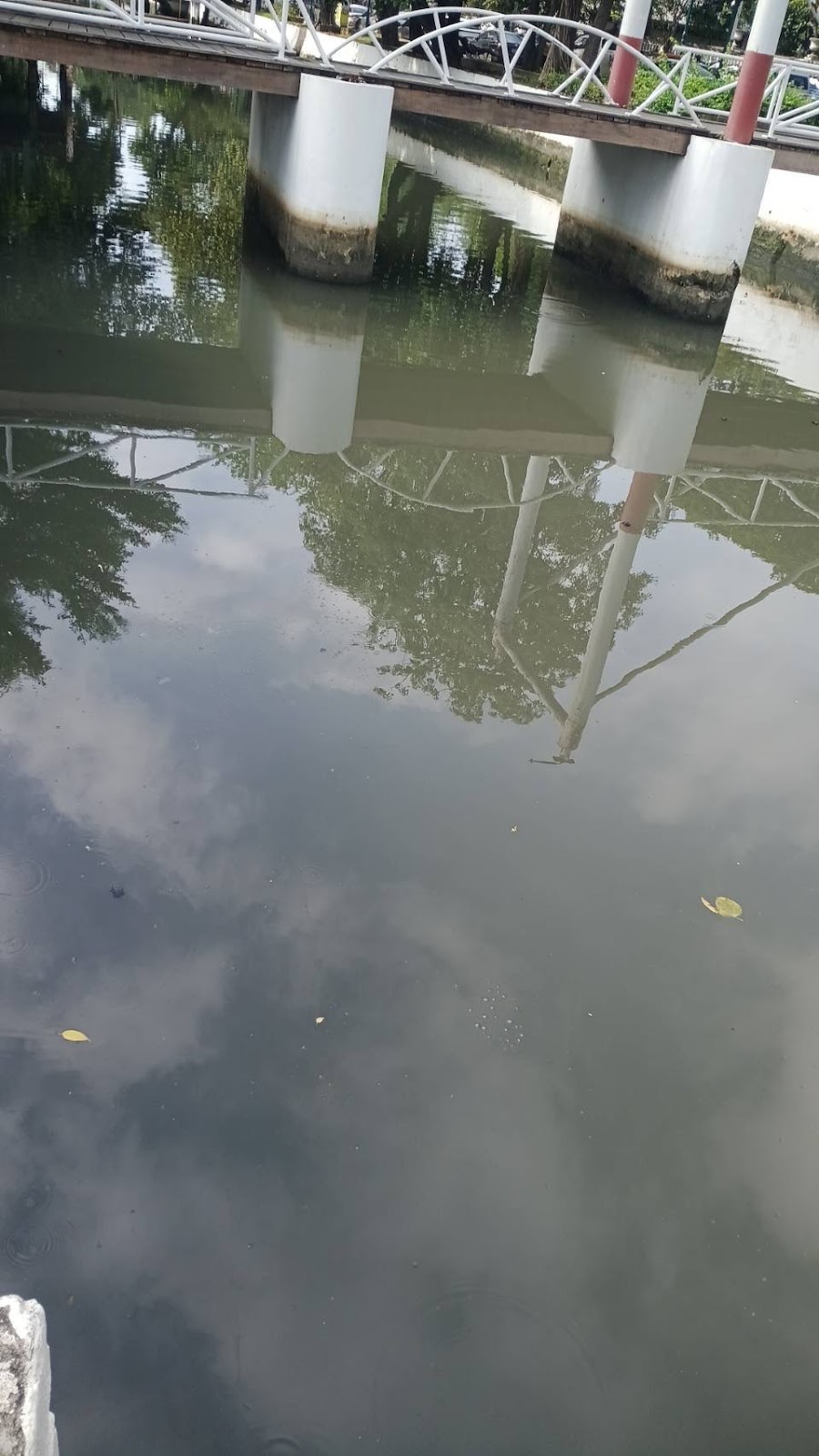 รูปภาพ