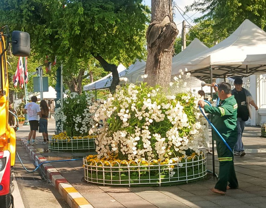 รูปภาพ