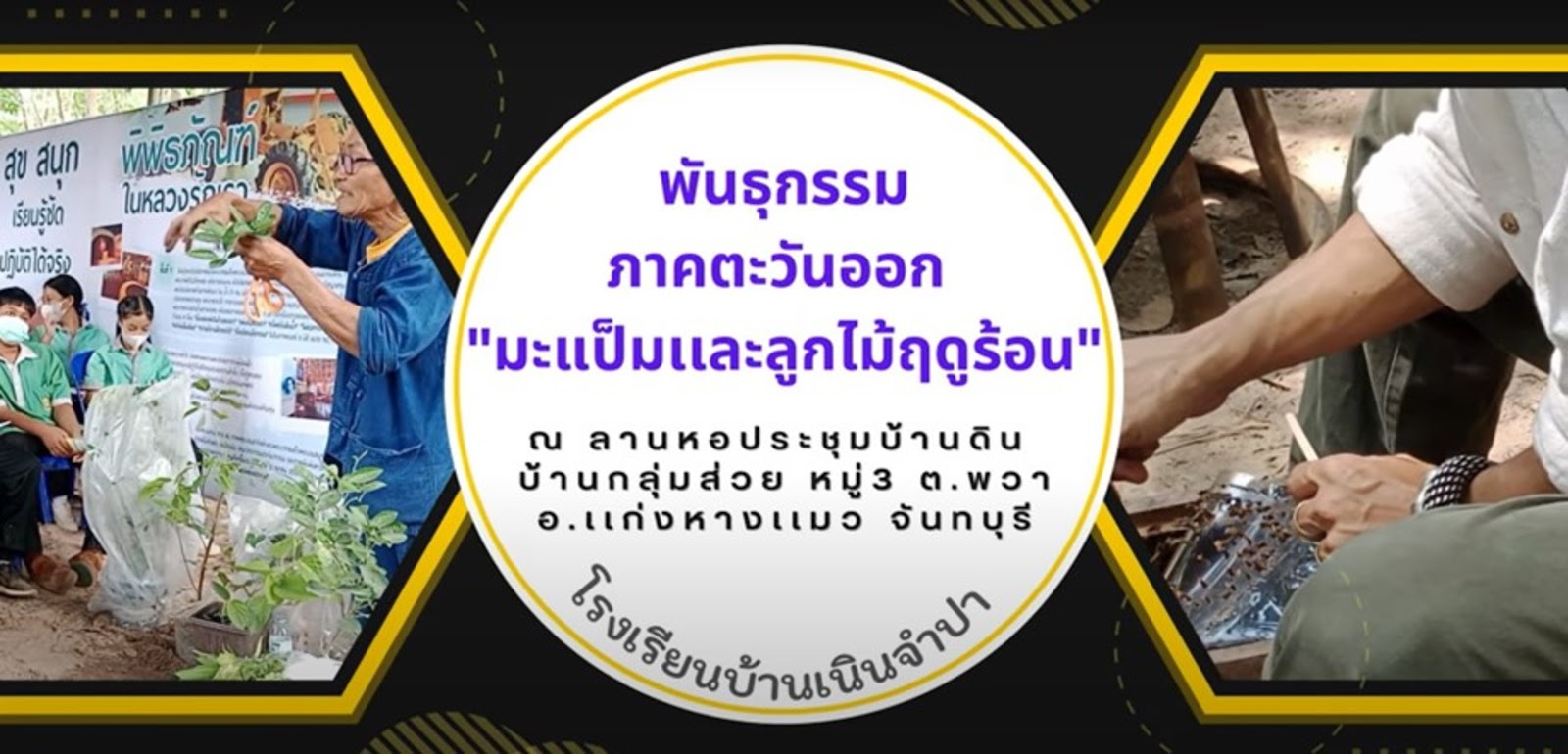 โรงเรียนบ้านเนินจำปา
