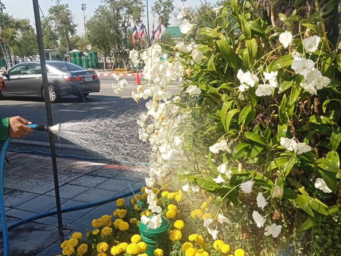 รูปภาพ