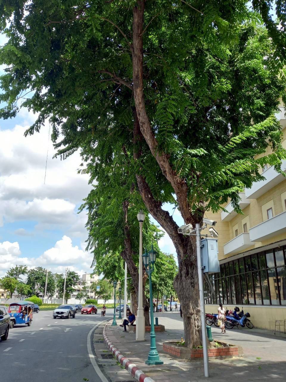 รูปภาพ