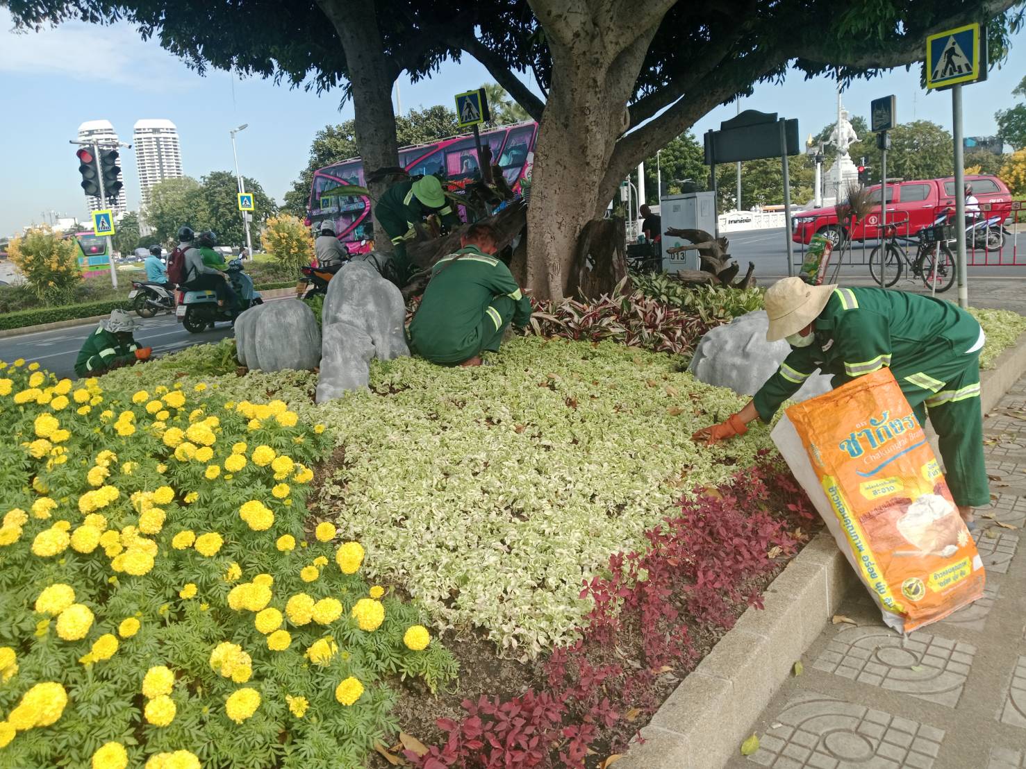 รูปภาพ