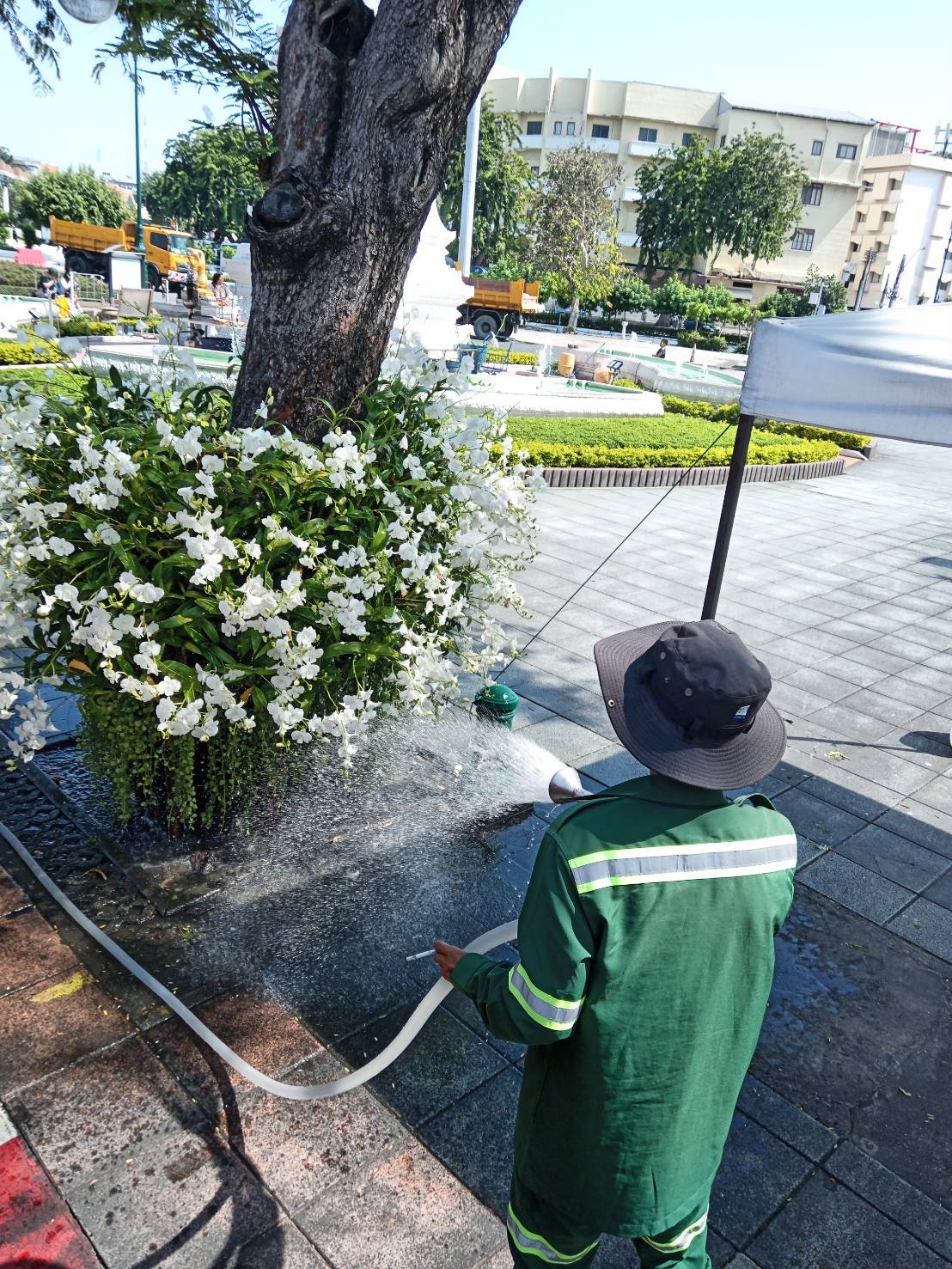 รูปภาพ