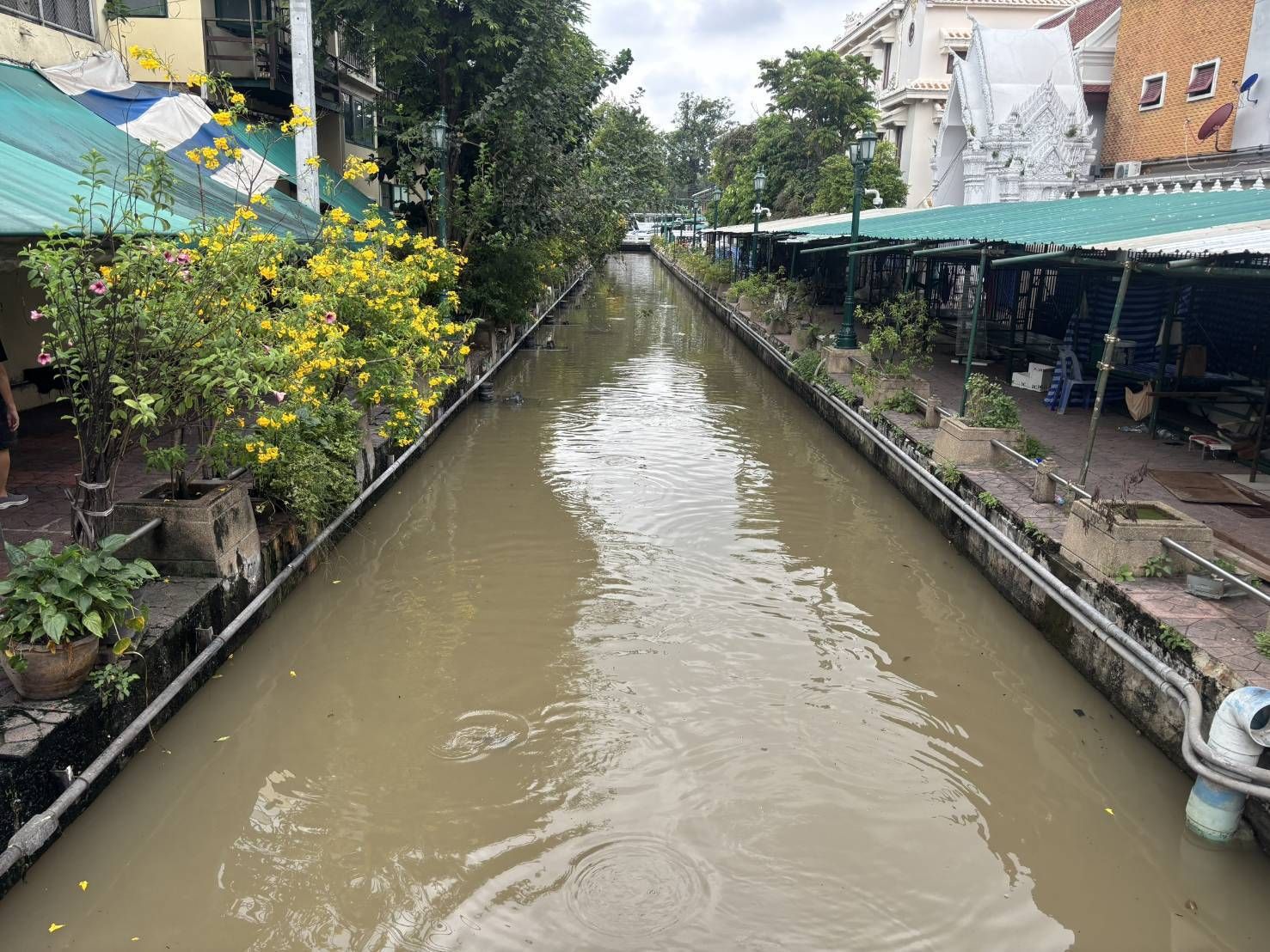 รูปภาพ