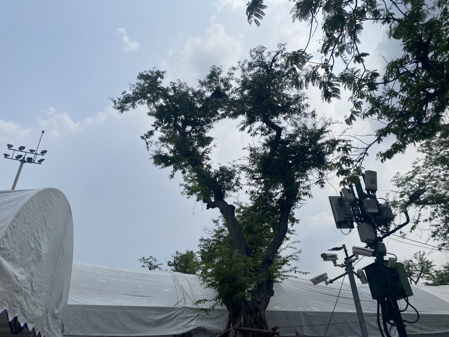 รูปภาพ