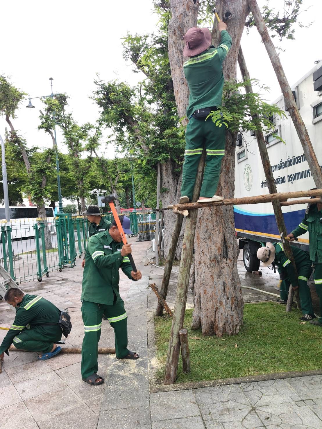 รูปภาพ