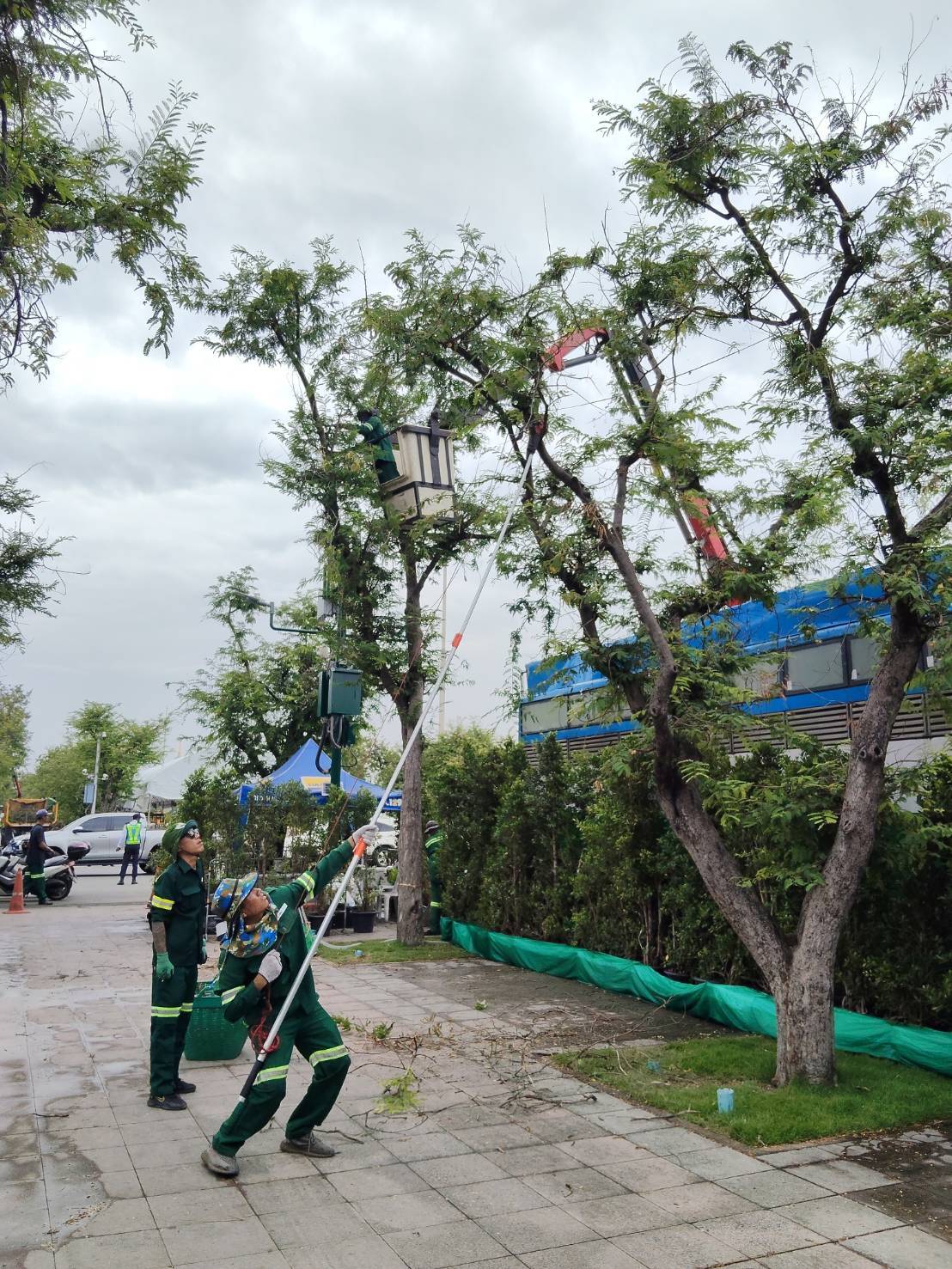 รูปภาพ