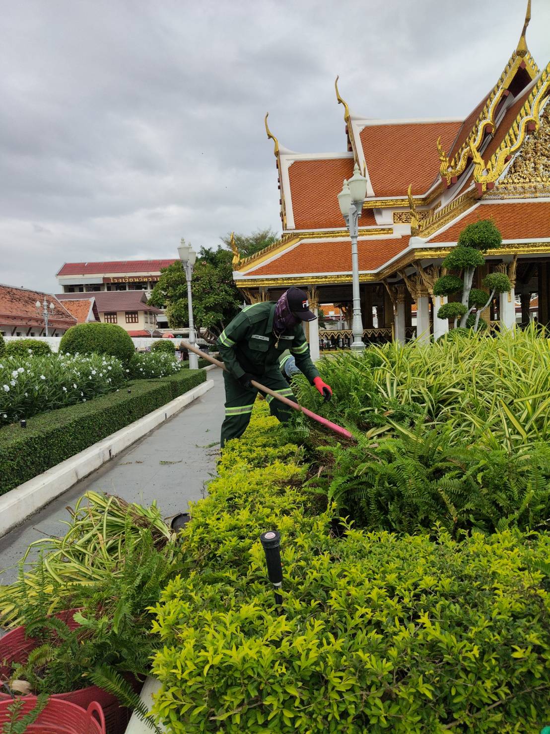 รูปภาพ