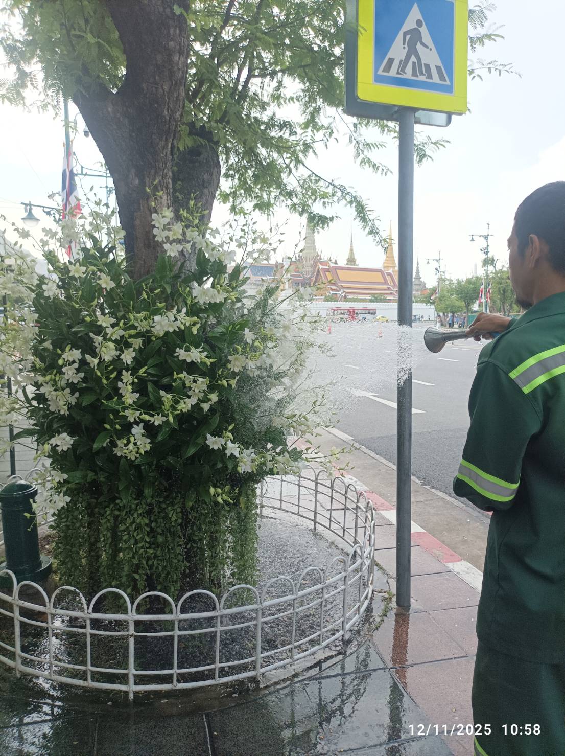 รูปภาพ