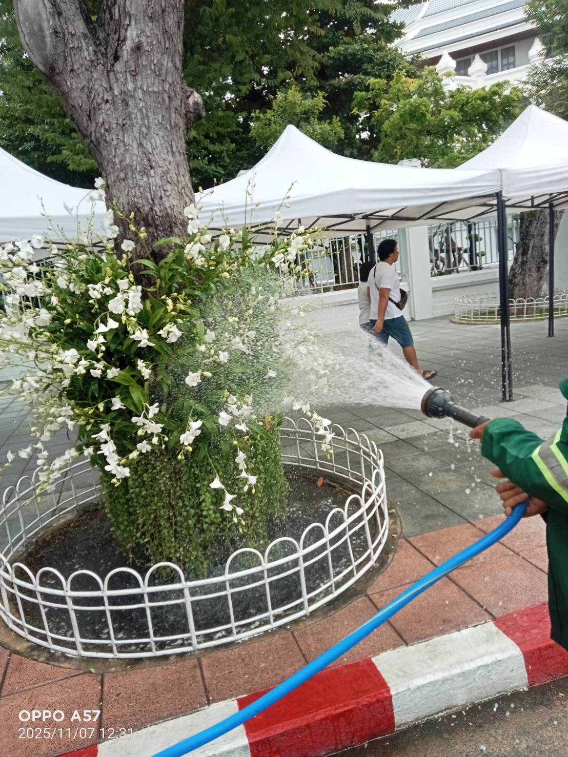 รูปภาพ