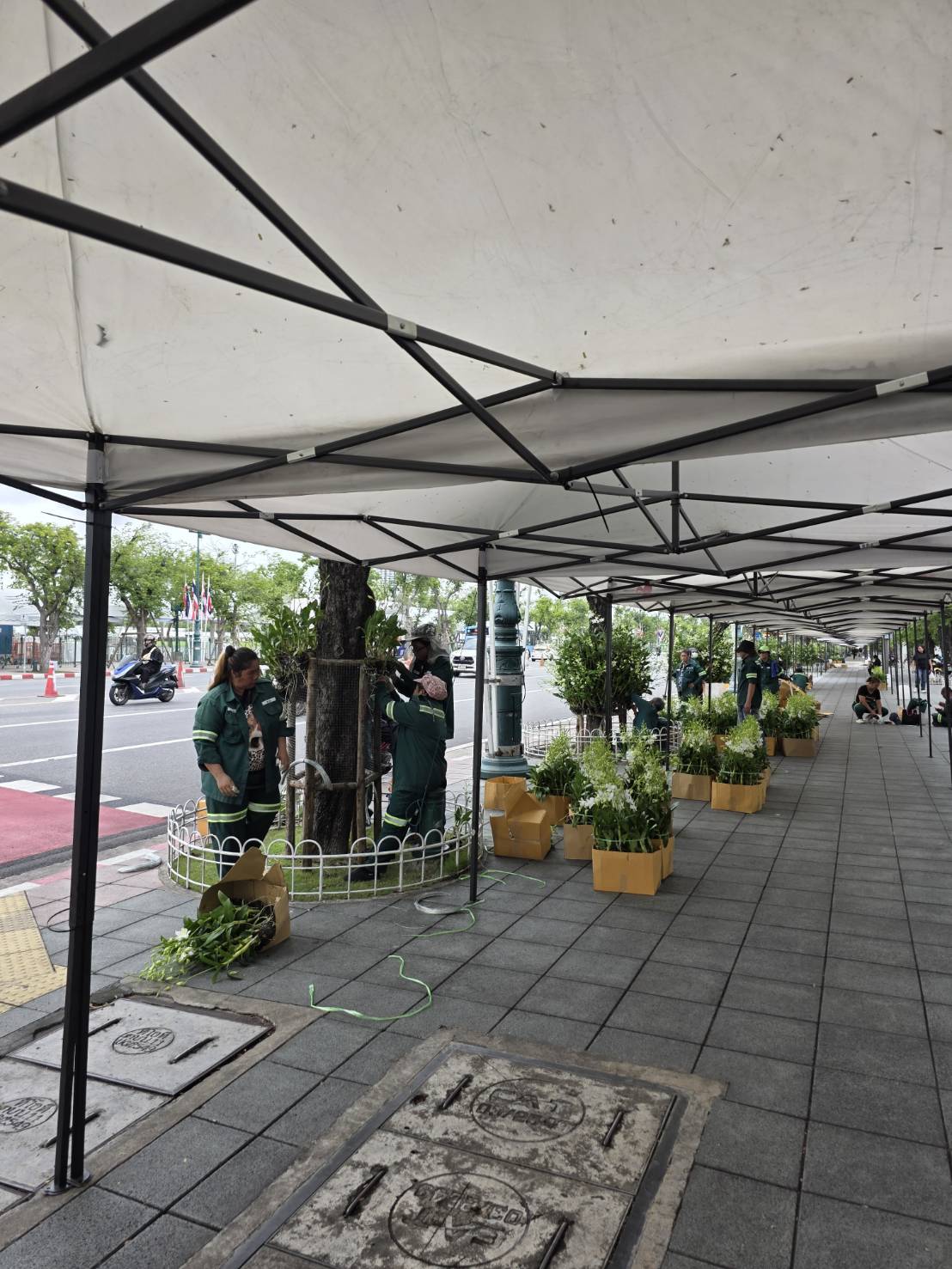 รูปภาพ