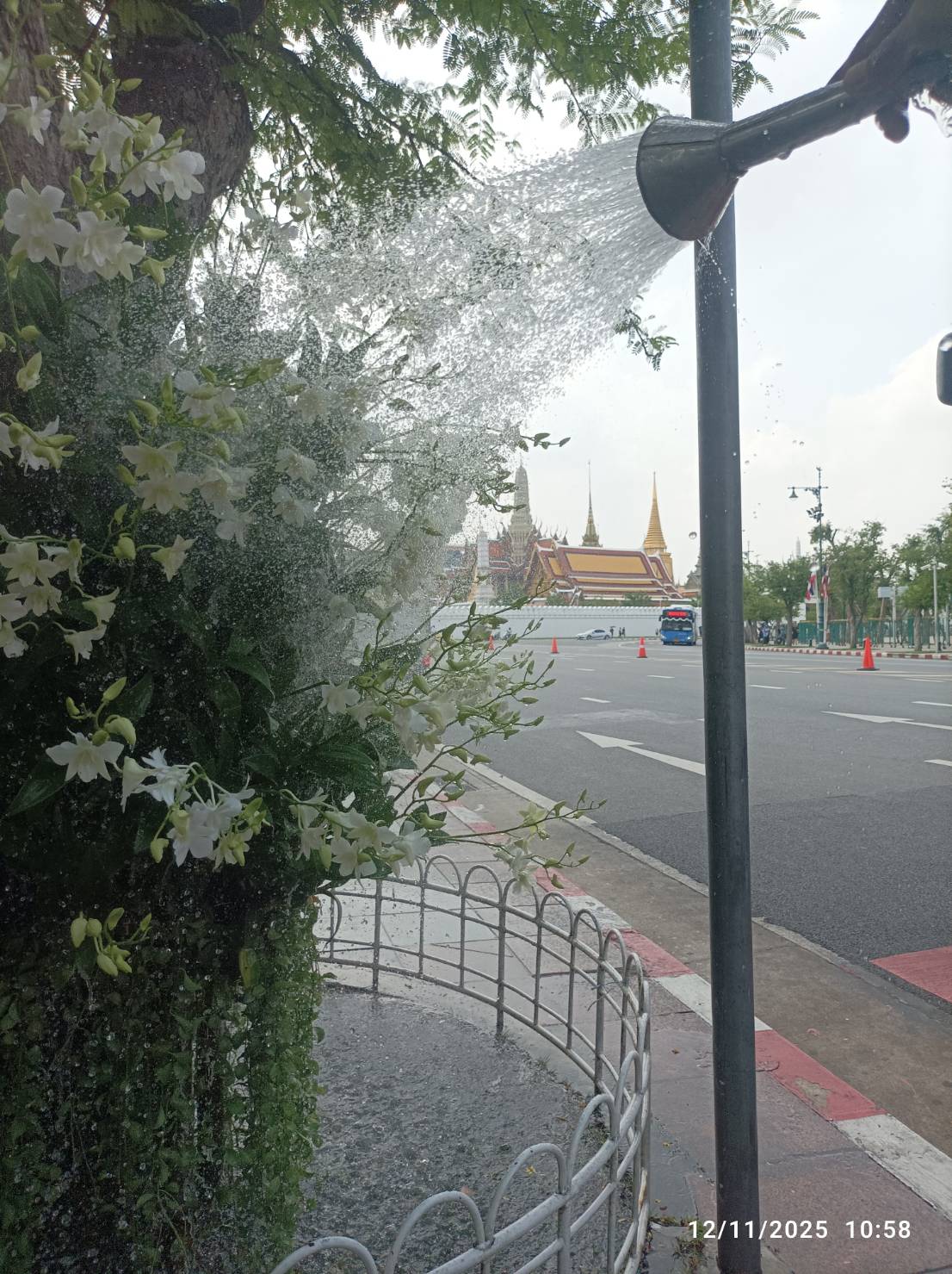 รูปภาพ