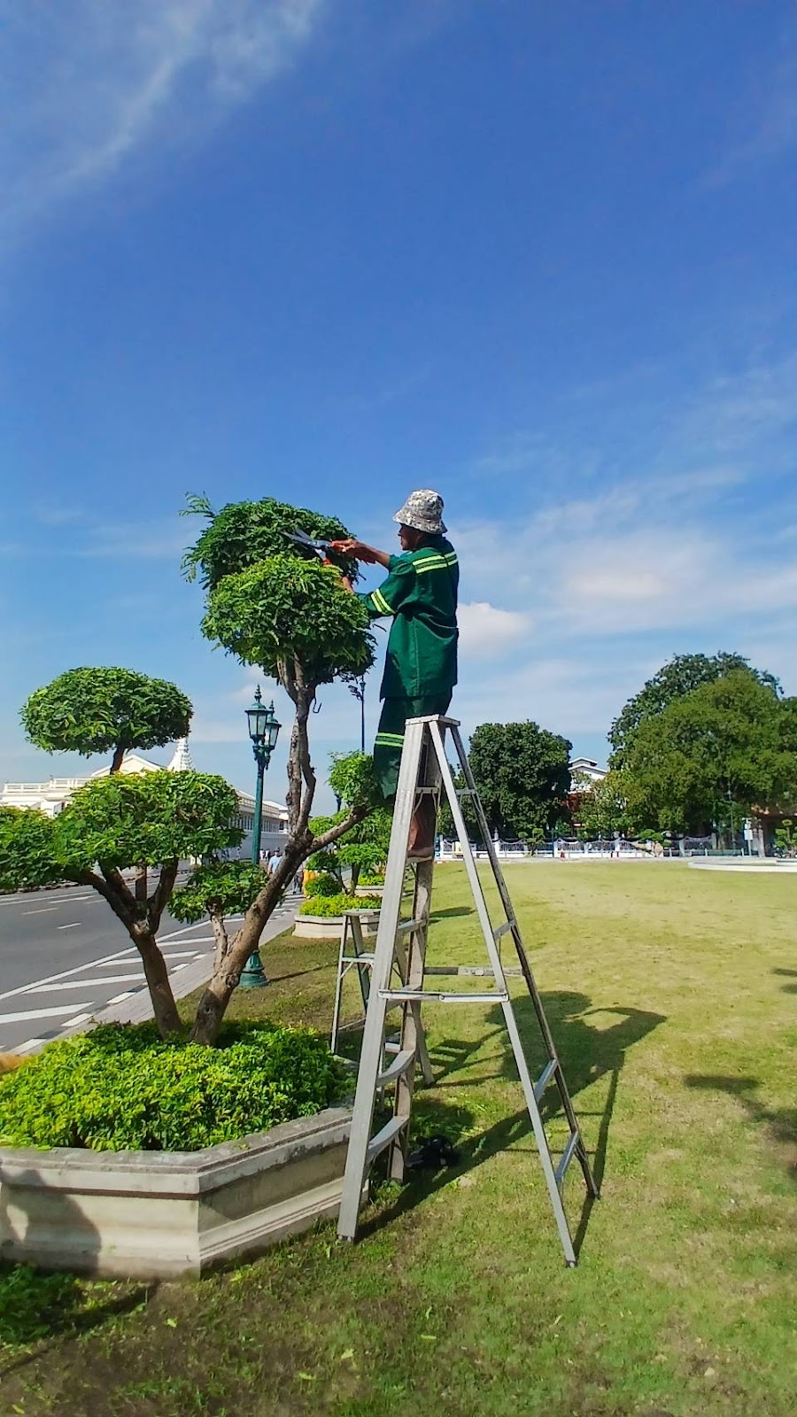 รูปภาพ