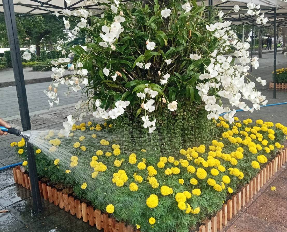 รูปภาพ