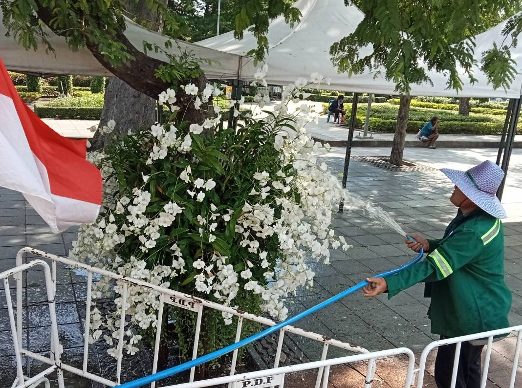 รูปภาพ